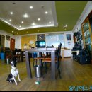 고래사냥펜션 이미지