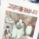 에덴세차장 | 고양이 찾았습니다 ♥ 가출한 고양이 찾는법(with, 고양이탐정)