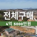 성심부동산중개인 이미지