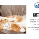 인덕원동물의료센터 이미지