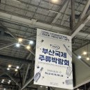 [ 부산 | 박람회 ] 2025 부산국제주류박람회 | 인생 첫 지방 주류박람회 2일차 후기