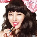 애니플