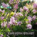 휴팩토리 이미지