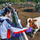 (주)제일사료자판기
