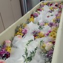 성신고려요양병원 이미지