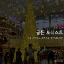 골든포레스트 | [서울 별마당 도서관] ✨ 골든 포레스트 ✨ 전시 후기