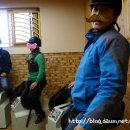 안산승마클럽 이미지