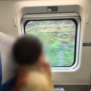 KTX 시끄러울 때 해결 방법 코레일톡 어플 서비스콜 이용 후기