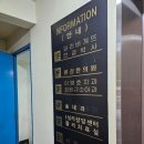 송내과 | 출산후 류마티스 관절염 진단받은지 3개월차 원주 송내과 방문 후기