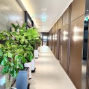 오름 스크린 골프 이미지