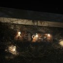 스테이 수산 | 스테이수산 돌담, 제주도 동쪽 성산일출봉, 섭지코지 근처 감귤따기 체험도 가능한 독채 숙소 추천