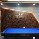 개미당구장 이미지