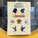 놀면뭐하개 이미지