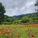 나들펜션 이미지