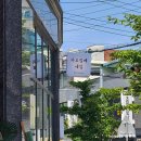 카모밀레 네일 | 충주 네일샵 연수동 카모밀레네일 오픈 이벤트 중