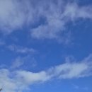 사평대로57길 130 이미지