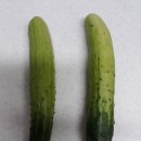 오에스케이마트 이미지