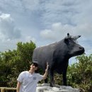 이온호텔 | 미야코지마 두 번째 이야기 - 임갸 마린가든(インギャーマリンガーデン), 이온몰, 호텔 로커스 후기