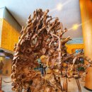 황룡택시 이미지