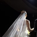 더로찌 이미지
