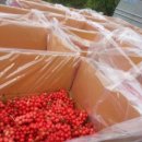 강준혁농장 이미지