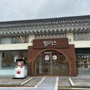 할리스 경주용강DT점
