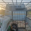 사산경로당 이미지