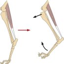 ABC 동물의료센터 이미지