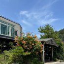 봉평 동치미 막국수 | 삼척 현지인 막국수 맛집 추천 | 봉평막국수 메뉴추천 솔직후기 웨이팅 주차