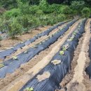 미륵산계곡꿈의궁전마을 이미지