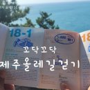 후포고여사민박 | [제주살이] 제주 올레길 추자도 1탄/18-1코스