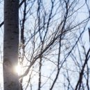 더나은정신건강의학과의원 이미지