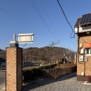 5037 | 뛰놀기 딱 좋은 곳, 대전 근교 잔디 애견카페 머엉