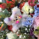 의정부가재울도서관 이미지