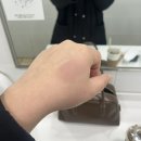 힌스 뉴 뎁스 아이섀도우 [얼루어 인 모션] 내돈내산 발색 후기