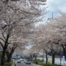 서ㆍ호근동 이미지