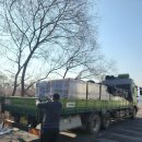 크로스핏 수성 이미지