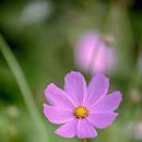 산마을어린이공원 이미지