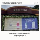 와인터널주차장 | 영동 와인터널 후기｜아이와 가볼 만한 영동 실내 여행지