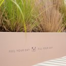 높은데이 스테이 이미지