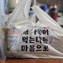 알리바바치킨 부산구포점 | [부산/구포] 베어치킨 크리스피콤보 솔직 후기