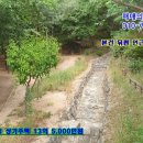 신창초교 이미지