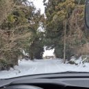 영국목장 이미지