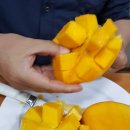 김찬우농장 이미지