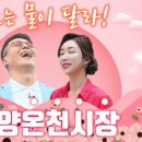 온양전통시장(샘솟는거리) 이미지