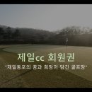 동포제일