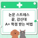 협성대학교 웨슬리신학대학원 | 감리교신학대학교 대학원 논문 컨설팅, A+ 학점을 위한 완벽 가이드 (2025 최신)