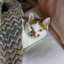 김형수한의원 이미지