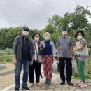 용산구치매안심센터 이미지