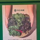 북산3-1낙차공 | 동탄역 SRT 맛집 양념대패 북산대패 동탄역 롯데 백화점맛집